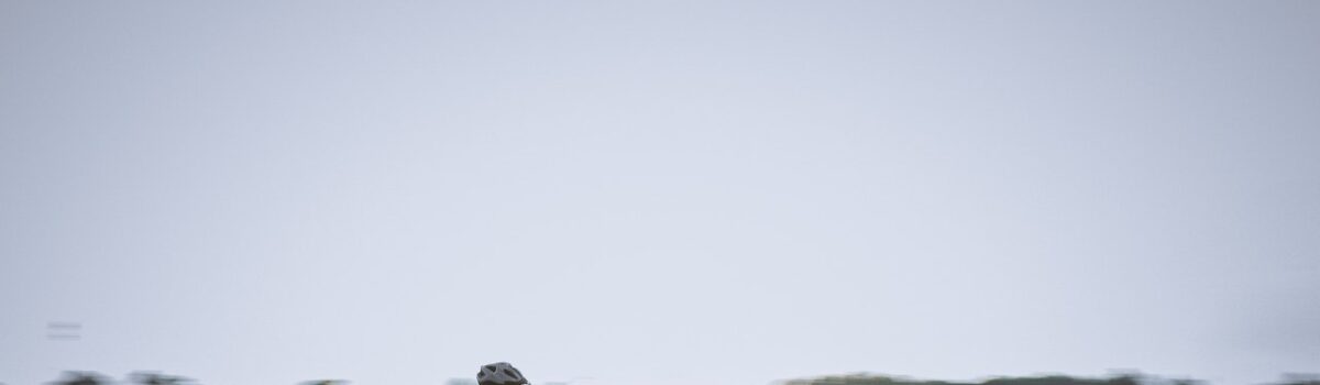 World’s Most Famous Cycle Trails