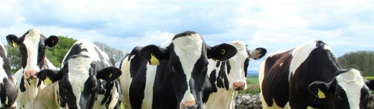 New Zealand’s Independent Leading Expert In Soil Fertility, Hamilton-Based GordonRajendram, Discusses Reducing Agriculture Emissions Through Improved FarmingPractices