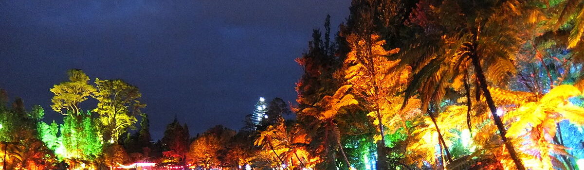 Digital Billboard Company MAD Media is Encouraging Everyone to Get Amongst it in the Taranaki