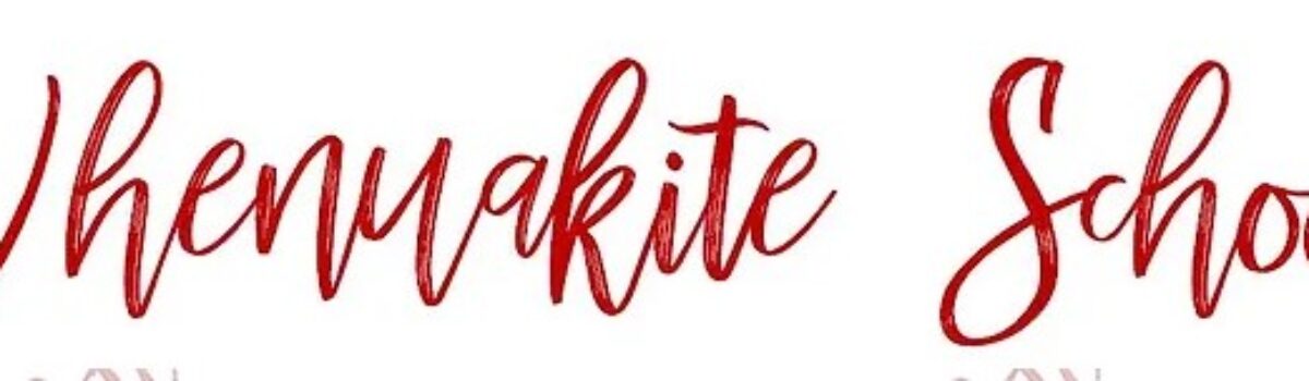 Whenuakite School: Helping young minds Flourish