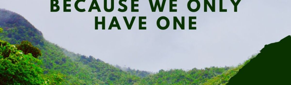 New Zealand’s Independent Leading Expert In Soil Fertility, Hamilton-Based GordonRajendram, Discusses Sustainability