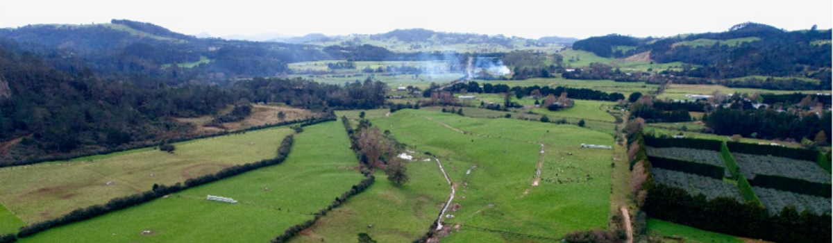 Unlocking the Potential of 1093 Tairua Whitianga Road: A Kiwifruit Growing Dream