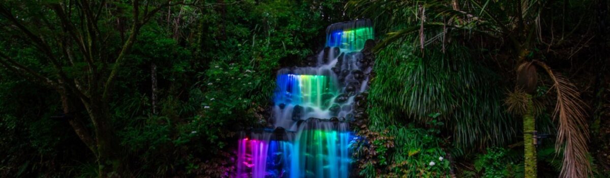 Lights, Laughter, and Culinary Delights: Go Street Restaurant and Bar celebrates New Plymouth’s TSB Festival of Lights 16th December – 21st January