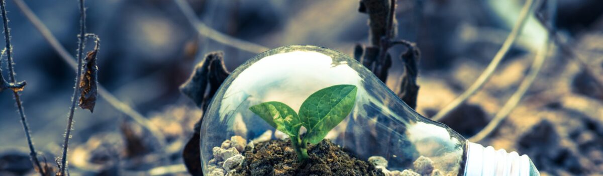 Soil Contamination and Remediation Efforts in New Zealand Urban Areas: An opinion piece by Hamilton-based soil scientist Dr. Gordon Rajendram