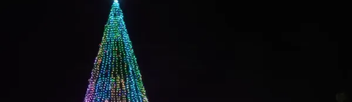 Exploring the Backyard these Holidays: Rua Resort’s Guide to Hamilton’s Festive Events