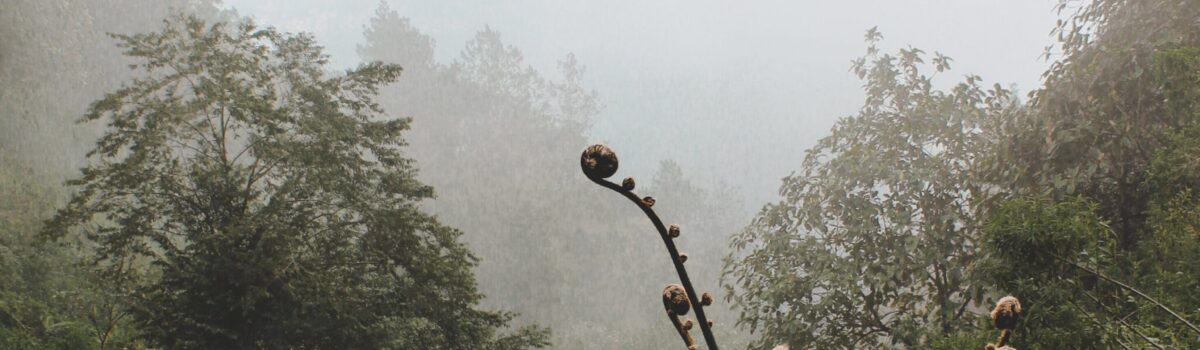 The Contribution of Māori Traditional Ecological Knowledge to Soil Science in New Zealand: An opinion piece by Hamilton-based leading soil scientist Dr Gordon Rajendram