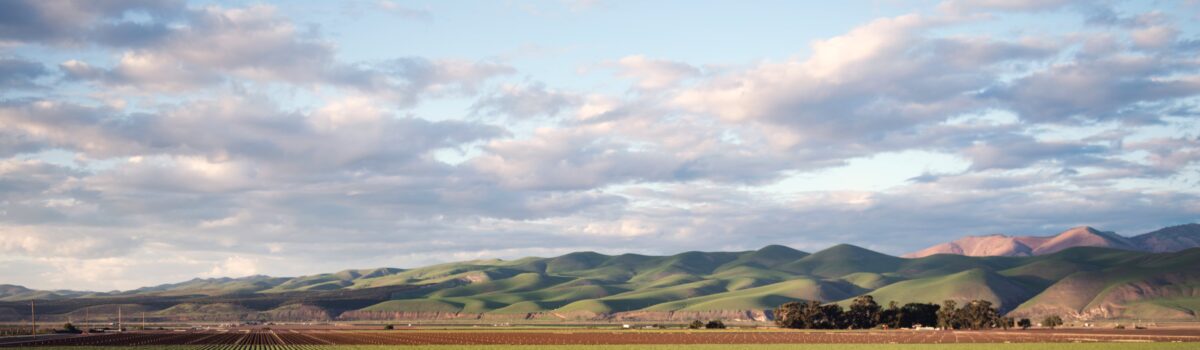 The Role of Soil Health in Sustainable Agriculture Practices in New Zealand – Opinion piece by Hamilton- based soil scientist Dr. Gordon Rajendram