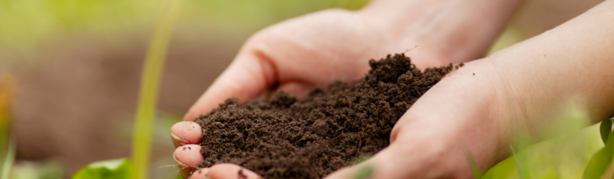 Restoring Soil Health in New Zealand’s Afforested Landscapes: Challenges and Opportunities by Hamilton-based leading soil scientist Dr. Gordon Rajendram