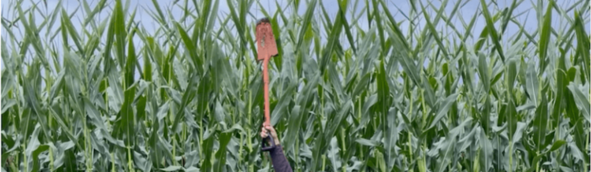 Ashburton’s Agraforum’s RevolutionaryProducts: Cultivating Prosperity from the Ground Up