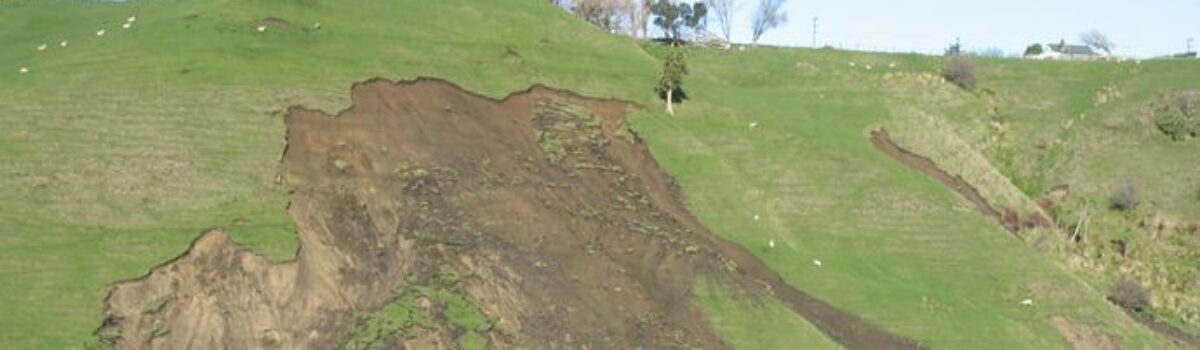 Mitigating Soil Erosion in New Zealand: Strategies and Success Stories