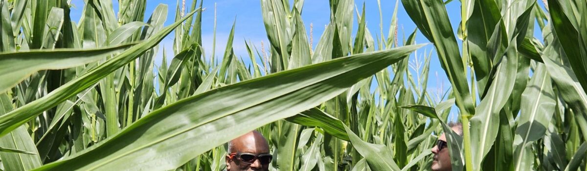 Waikato Based Dr. Gordon Rajendram: Nurturing New Zealand’s Soil with a Personal Touch