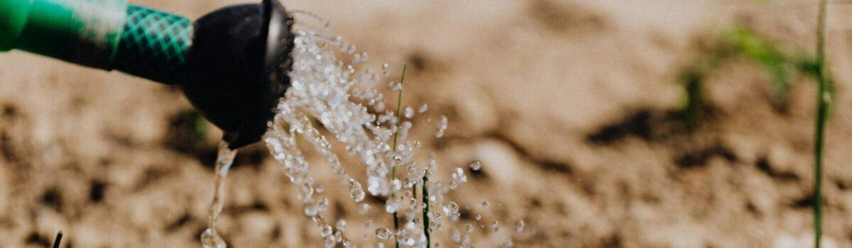 Dr. Gordon Rajendram: Waikato-Based Soil Scientist Navigating the Dynamics of Liming Soil