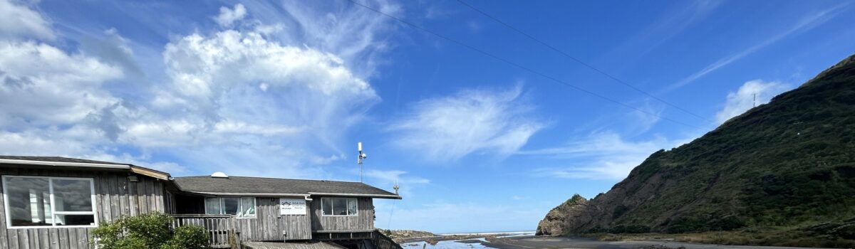 MediaPA and Bethells Beach Cottages Start the Wave for Bethells Beach Surf Lifesaving Patrol Recovery