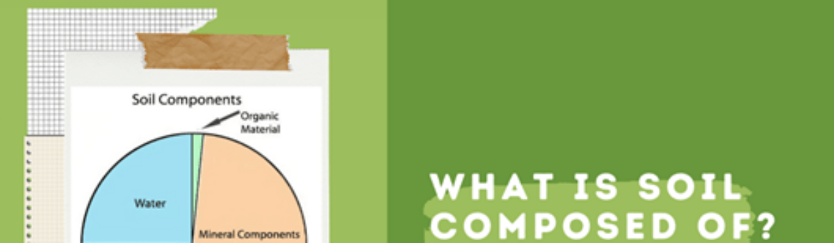 Exploring Soil Structure and Its Impact on New Zealand’s Agriculture by Dr. Gordon Rajendram, Leading Soil Scientist