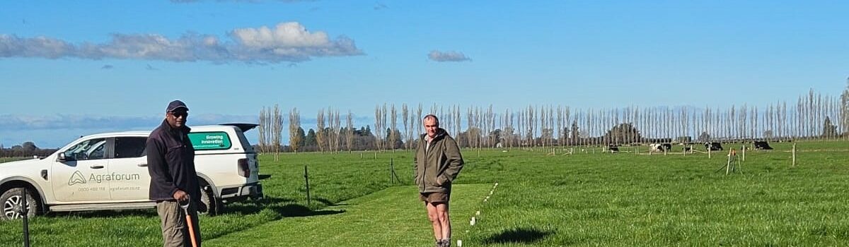 Soil Compaction: A Hidden Threat to Root Development and Forage Growth – Agraforum New Zealand