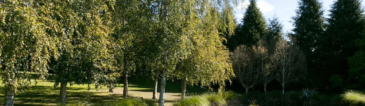 Endless Fun and Games at Centennial House Taupo: A Haven of On-Site Activities