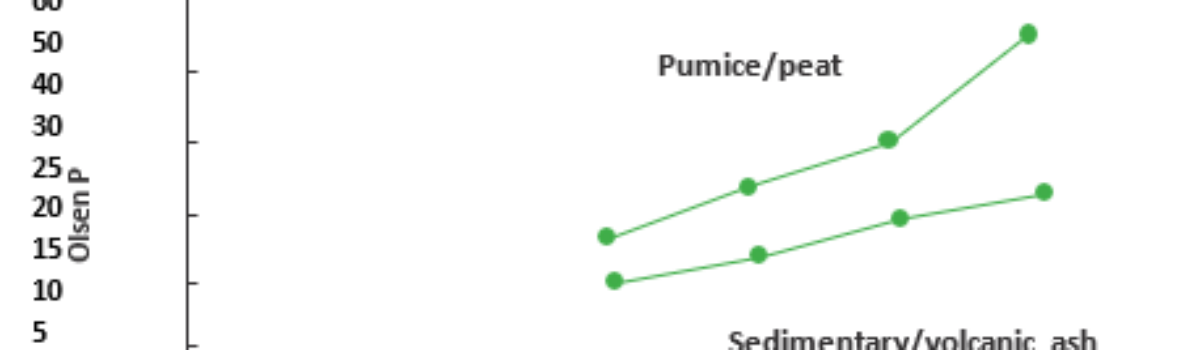 The Role of Allophane in Carbon Sequestration: New Zealand’s Volcanic Soils Uncovered by Soil Scientist Dr Gordon Rajendram