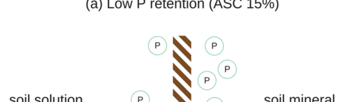 Dr. Gordon Rajendram, a leading soil scientist based in Hamilton, New Zealand, sheds light on the significance of Anion Storage Capacity (ASC)