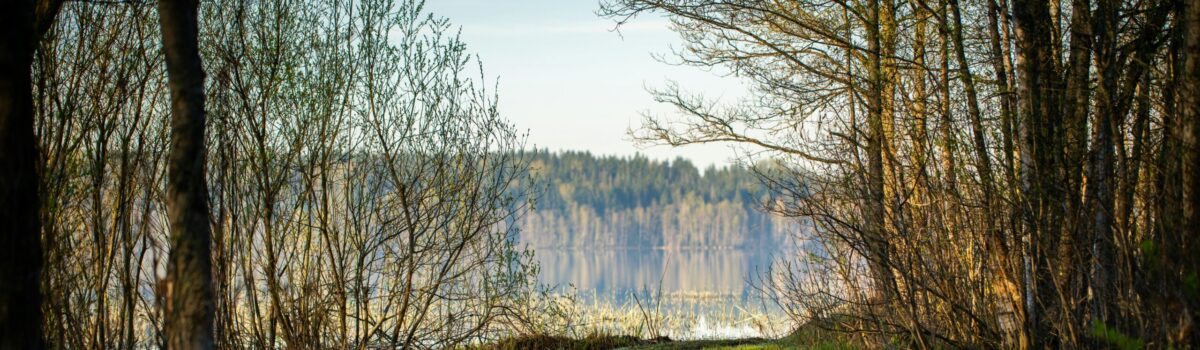 Optimising Soil Health and Forage Growth in Winter – Profile Fertilisers, Whanganui