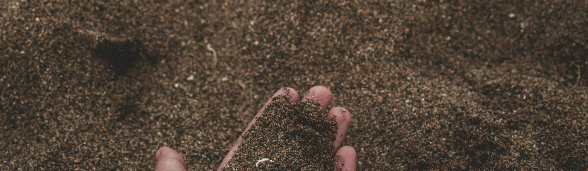 Enhancing Soil Magnetism and Addressing Compaction with Envirocal – Agraforum New Zealand