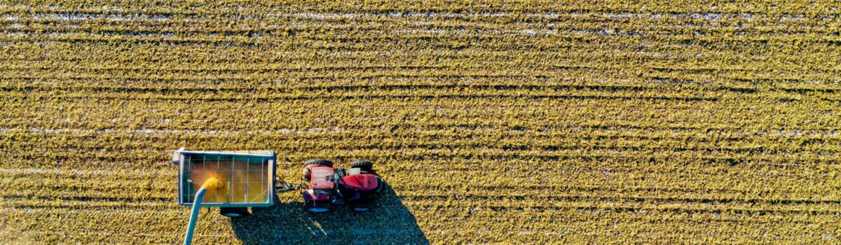 The Crucial Role of Nitrogen, Phosphate, and Sulphur in Soil: Insights from Profile Fertilisers, Pahiatua