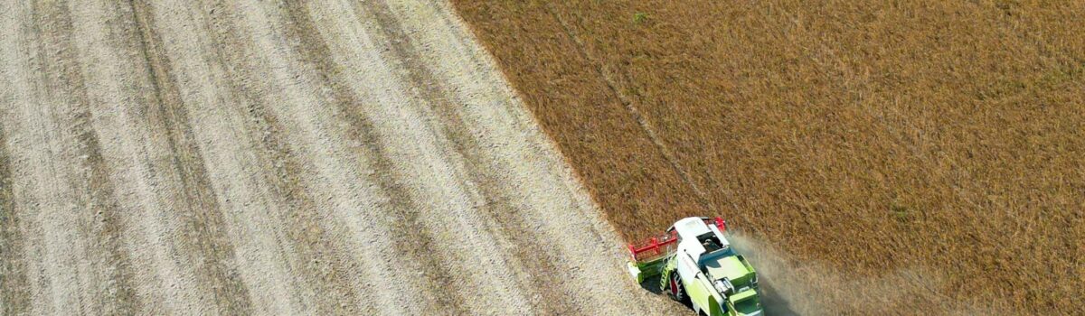 Sustainable Nutrient Release and Environmental Impact with Pahiatua’s Profile Fertilisers