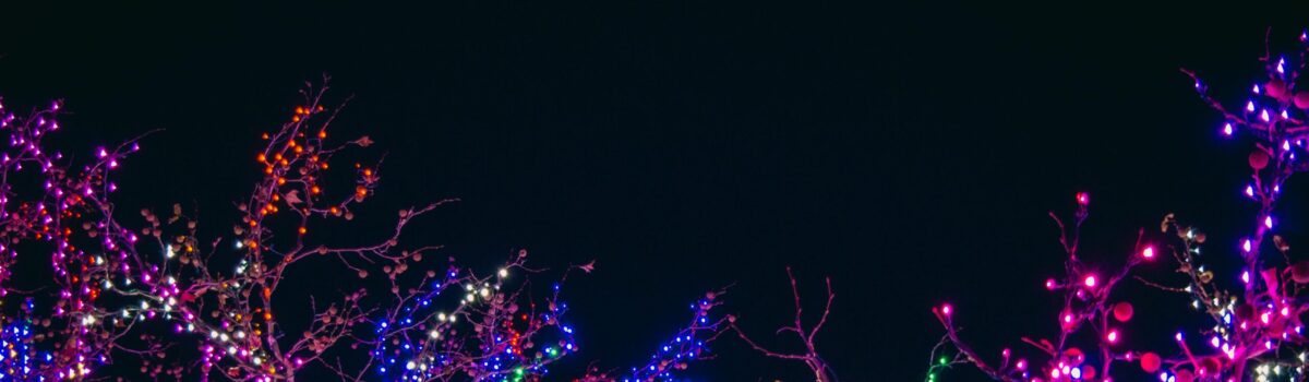 Celebrate the Taupo Winter Festival with Centennial House Taupo