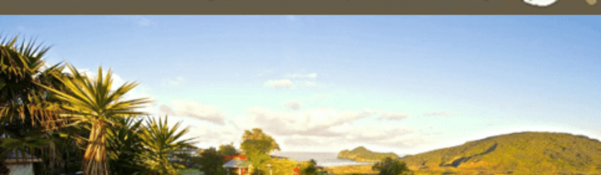 Roads Are Open to Welcome You at Bethells Beach Cottages, Auckland Accommodation