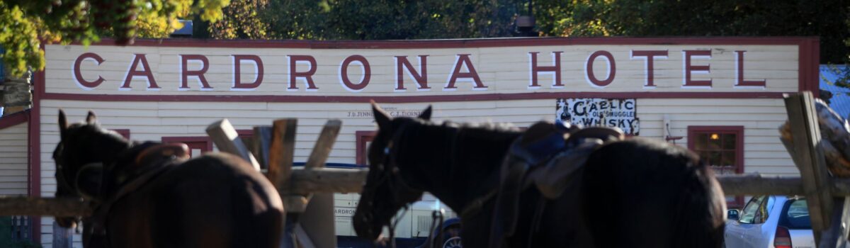 Riding Through History with The Cardrona Horse Riding & 4×4 ATVs: Exploring Cardrona Valley’s Gold Mining Past