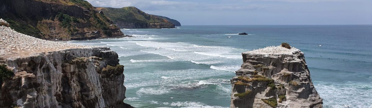 Top Hotspots to Explore Near Bethells Beach Cottages – Seaview Retreat in Auckland