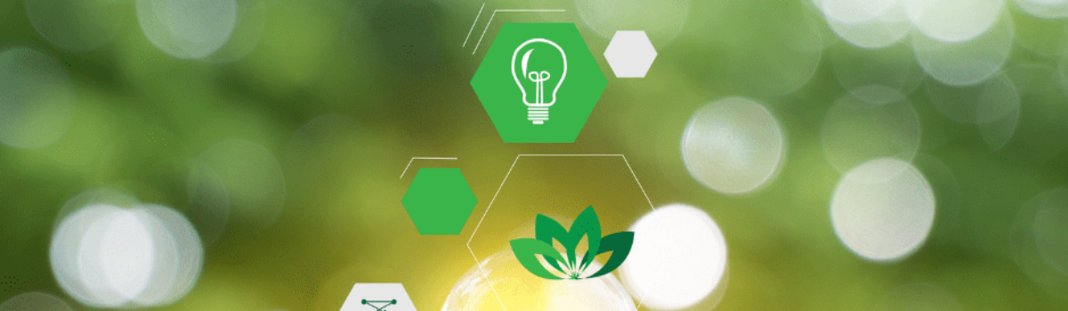 How to Build a Long-Term Soil Sustainability Plan with Dr Gordon Rajendram